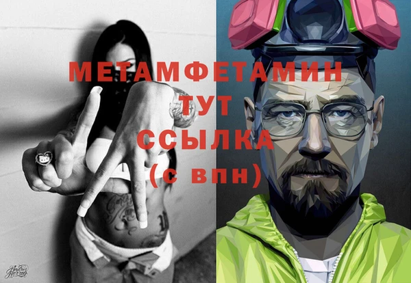 прущие грибы Долгопрудный