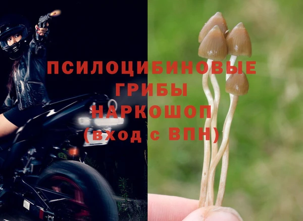 спайс Ачинск