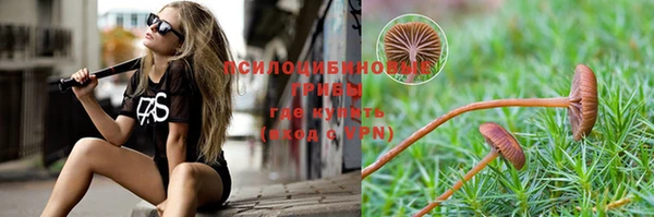 МДПВ Орехово-Зуево