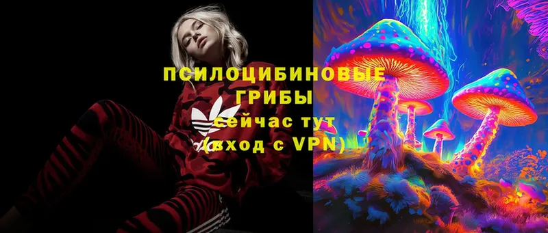 Галлюциногенные грибы Magic Shrooms  Собинка 